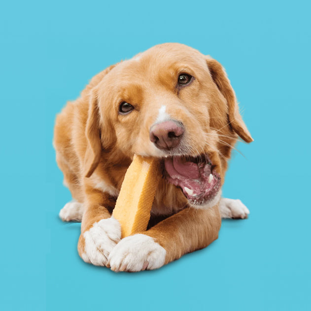 🎁 Himalayan Yak Chews (100% off)