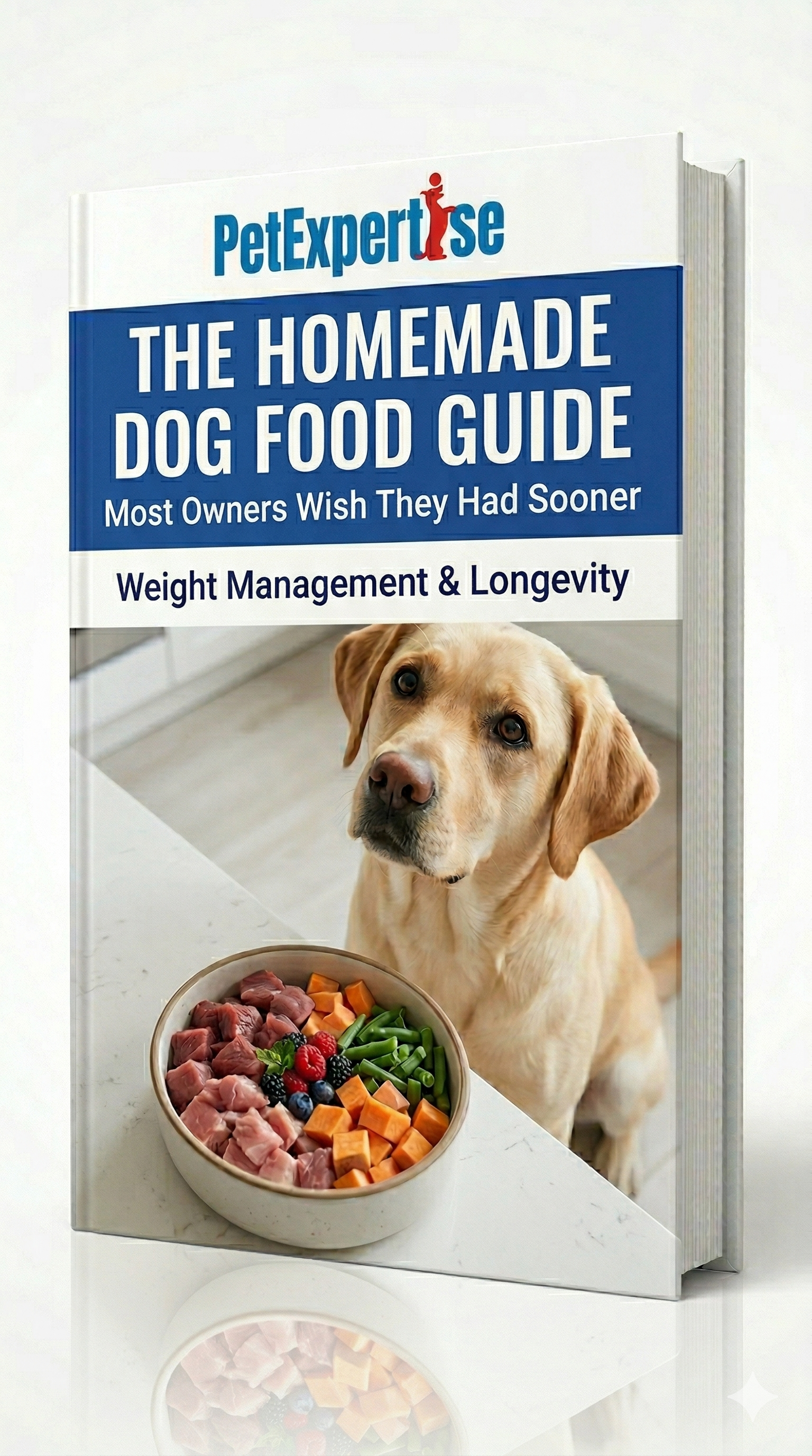 The Homemade Dog Food Guide Most Owners Wish They Had Sooner